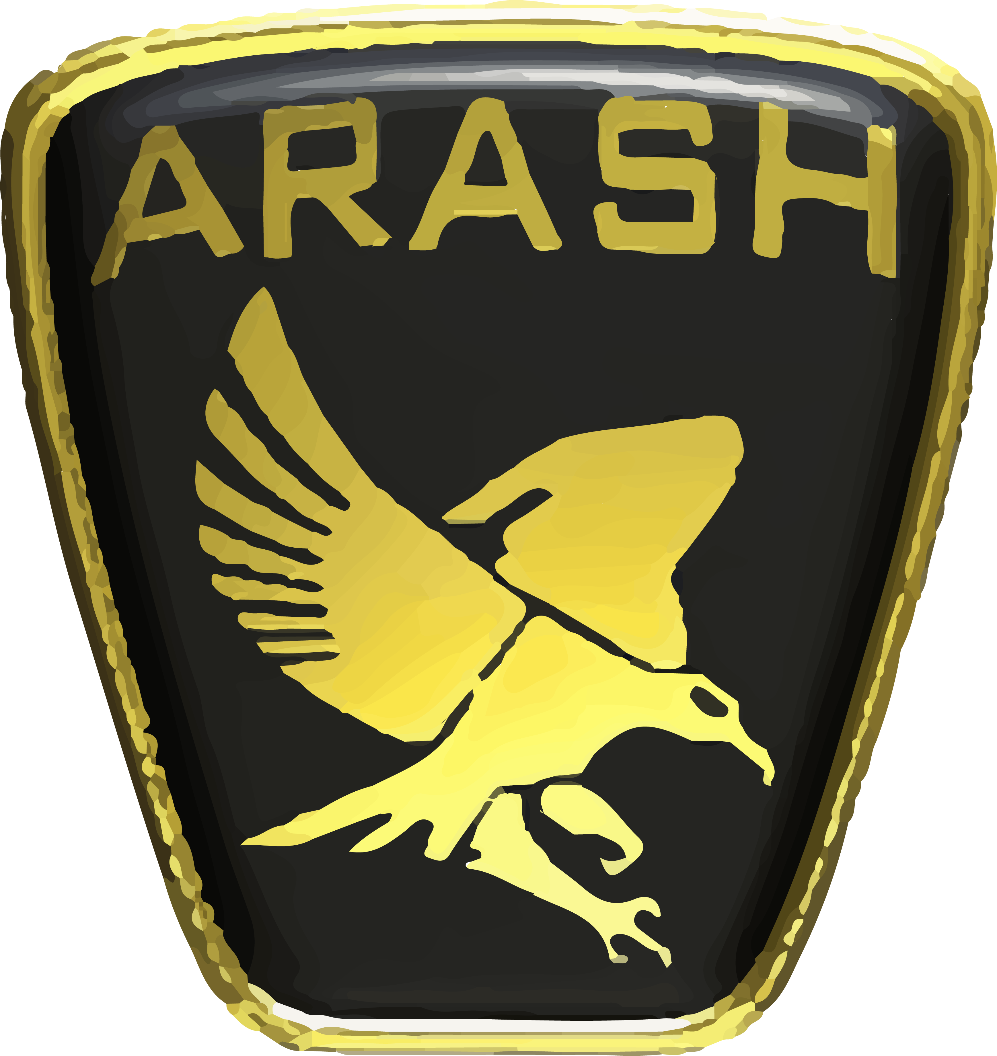 Arash Logo