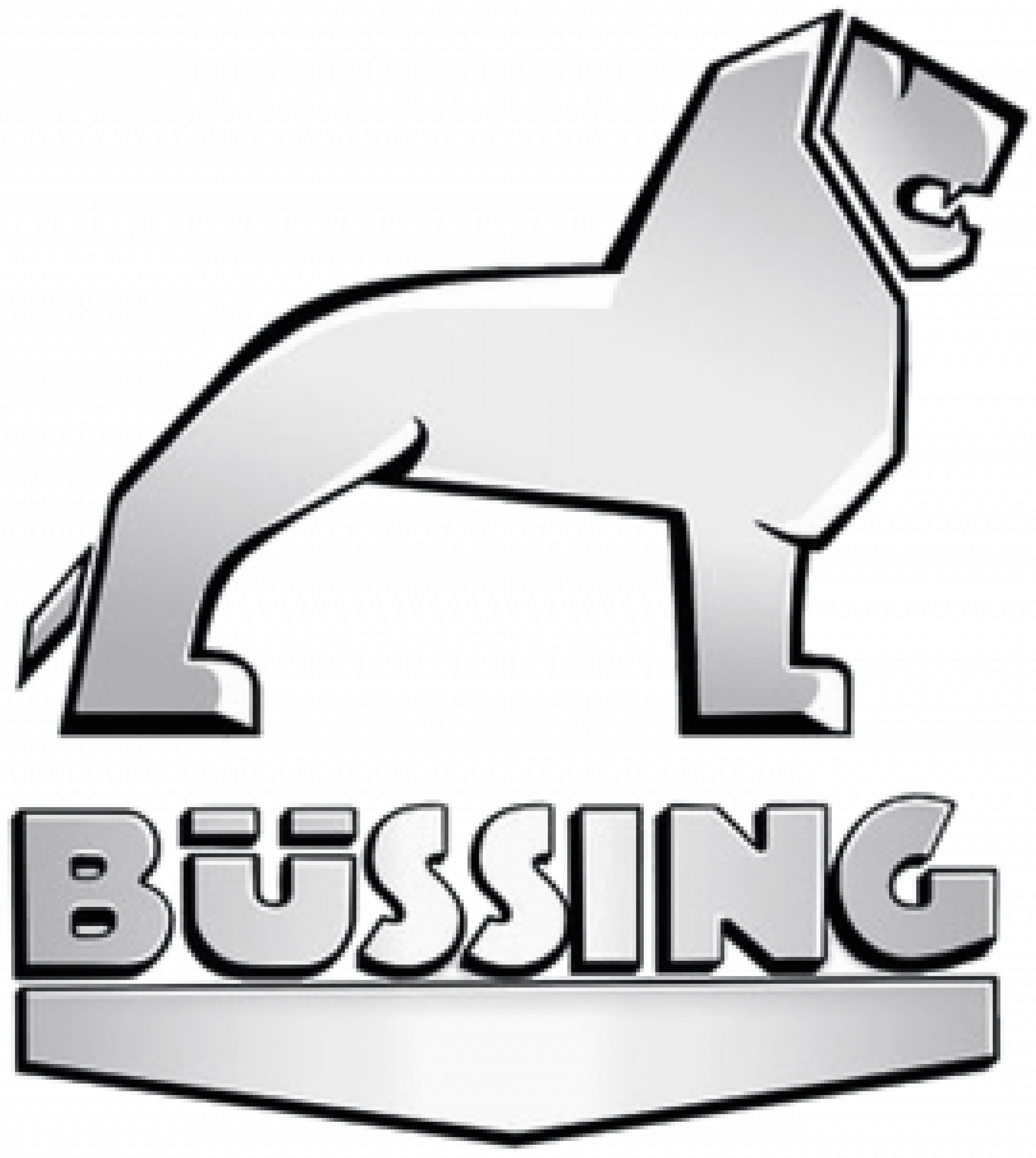 Bussing Logo