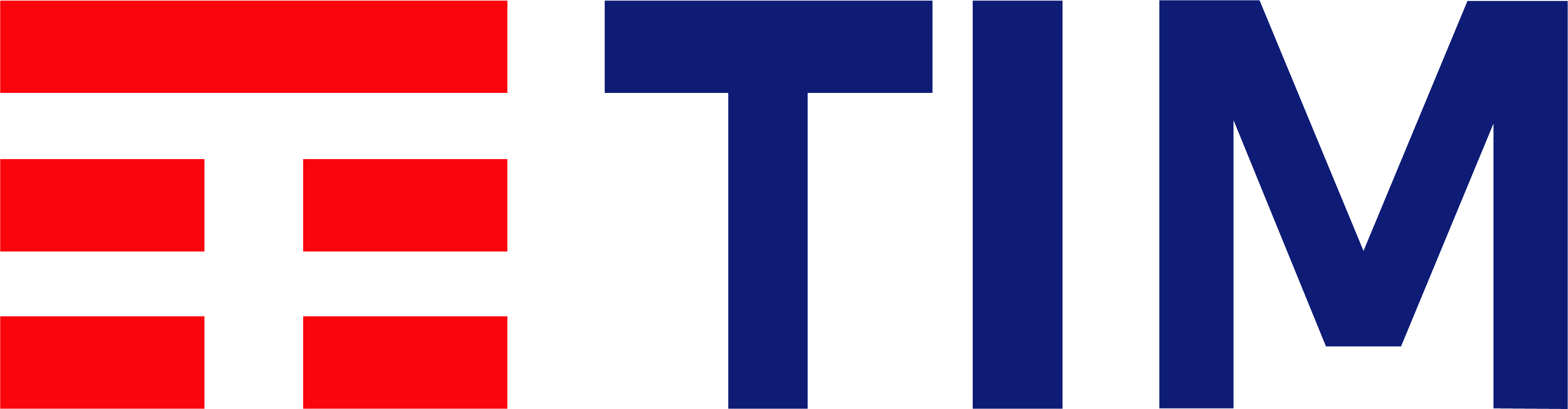 Tim Logo